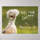 Search for bad photography Poultry