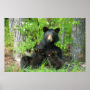 Search for momma posters Cubs