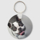 Search for funny french bulldog key rings Animals