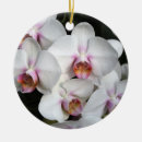 Search for exotic christmas tree decorations Orchid