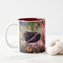 Search for porcupine mugs Animal