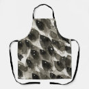 Search for storm aprons Abstract