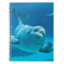 Search for adorable notebooks Fun