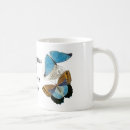 Search for bug drinkware Illustration