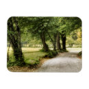 Search for paths magnets Photography
