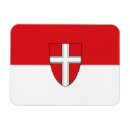 Search for wien magnets Symbol