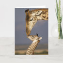 Search for funny giraffe cards Wild animals