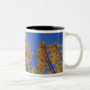 Search for ranges mugs America