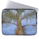 Search for tree and sky electronics Fronds