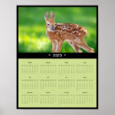 Search for babies calendars posters Nature