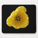 Search for yellow tulip mousepads Floral