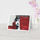 Search for cushion cards Cat
