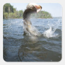 Search for pike stickers Fishing