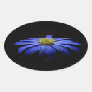 Search for blue daisies stickers Floral