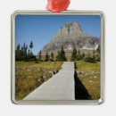 Search for clear sky christmas tree decorations Outdoors