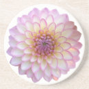 Search for dahlia flower coasters Pretty