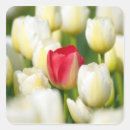 Search for marion stickers Nobody