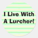 Search for greyhound racing stickers Sighthound