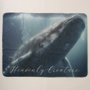 Search for humpback whale blankets Swimming