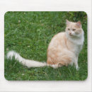 Search for cuddly mousepads Adorable