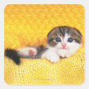 Search for natural beauty stickers Yellow