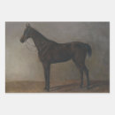 Search for bay gift wrap Thoroughbred