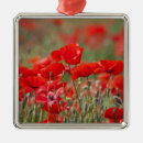 Search for tuscany christmas tree decorations Travel