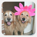 Search for headband stickers Costume