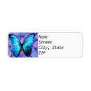Search for morpho Flower