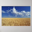Search for colfax posters Agriculture