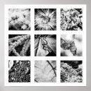 Search for detailed posters Black