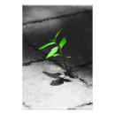Search for adaptability posters Resilience