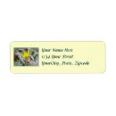 Search for trout return address labels Nature