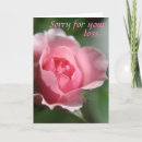 Search for sorry card postcards Pink