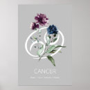Search for cancer crab art Astrology