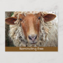 Search for ewe invitations Wool