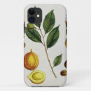 Search for herbal iphone cases Botanical
