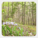 Search for smokies stickers Smoky mountains