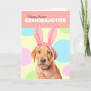 Search for labrador easter cards Bunny ears