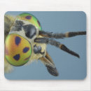 Search for compound mousepads Animal