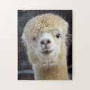 Search for alpaca puzzles Peru