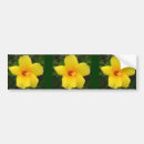 Search for hibiscus bumper stickers Nature