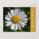 Search for wildflower postcards Photography