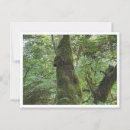 Search for green moss postcards Nature