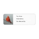 Search for red cardinals return address labels Wildlife