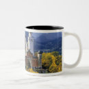 Search for neuschwanstein mugs Europe