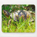 Search for box mousepads Turtle