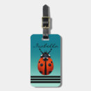 Search for beetle accessories Insects