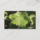 Search for grape vine business cards Vines