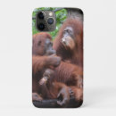Search for endangered animals iphone cases Orangutans